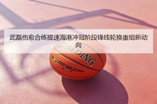 武磊伤愈合练提速海港冲冠阶段锋线轮换重组新动向